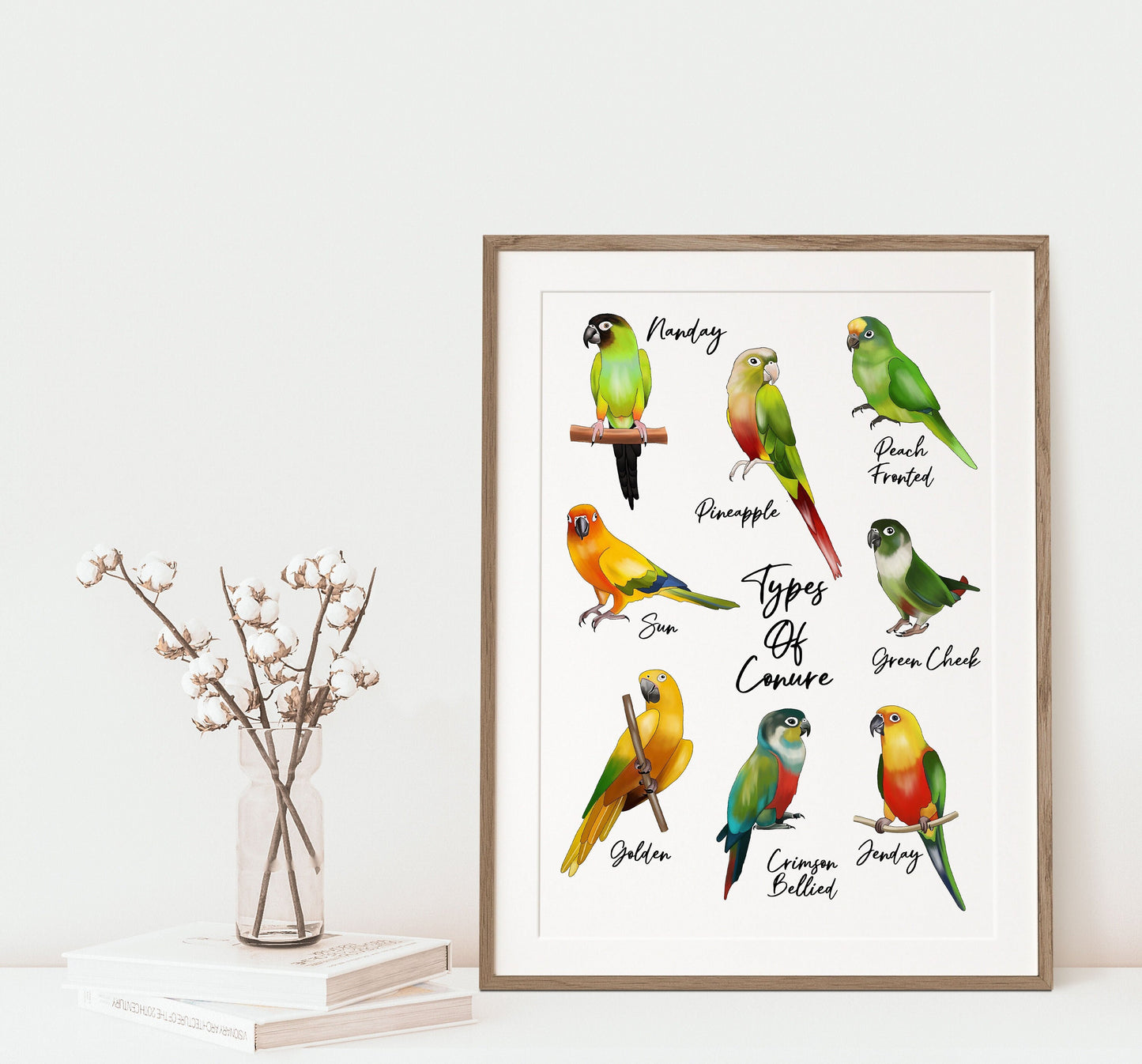 Conure chart print / Conure print / Tropical parrot Gift / Tropical /Home Decor / Parrot print / Wall art/ Conure gift / Bird print