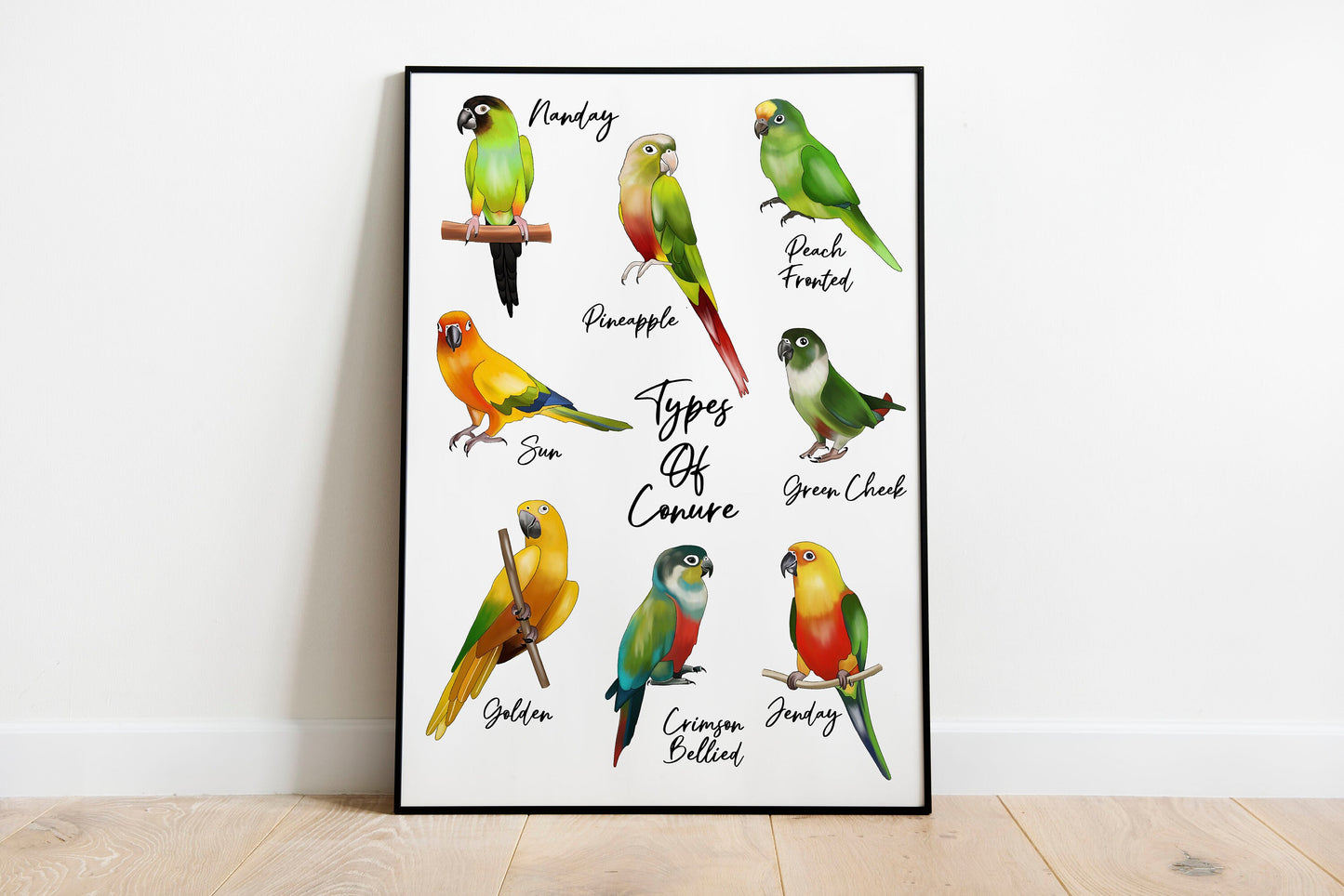 Conure chart print / Conure print / Tropical parrot Gift / Tropical /Home Decor / Parrot print / Wall art/ Conure gift / Bird print